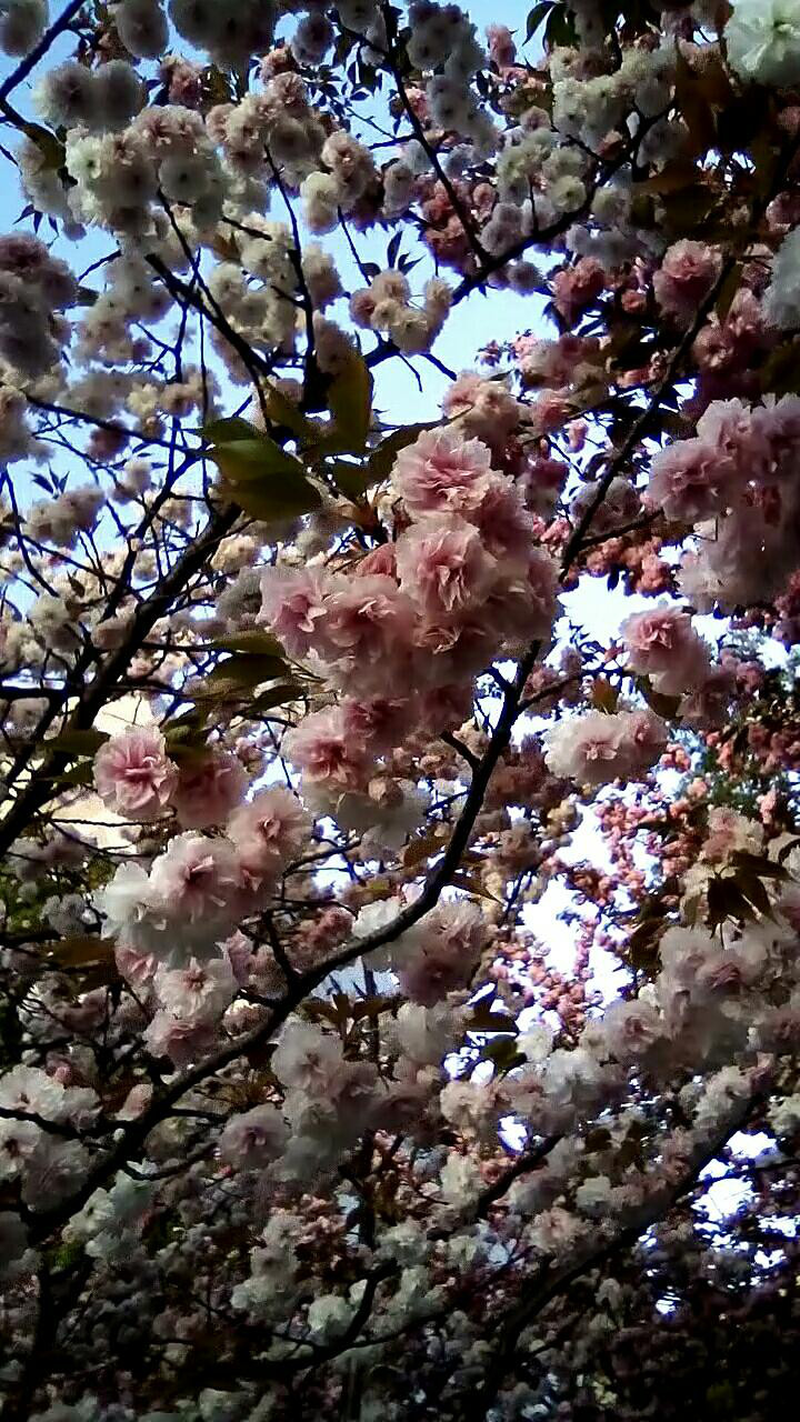 建立健全管理制度 推進塑料污染治理